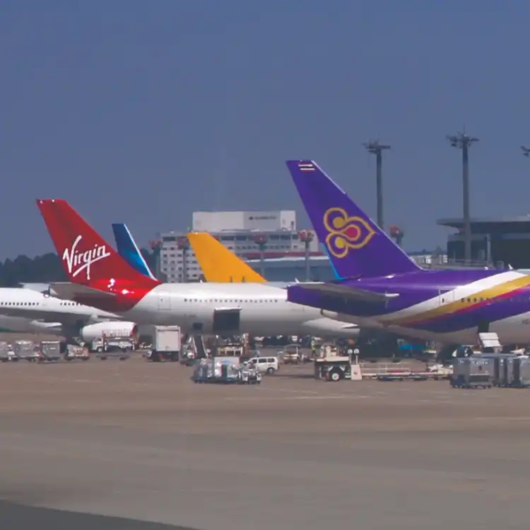 Animals_Price_in_Pakistan